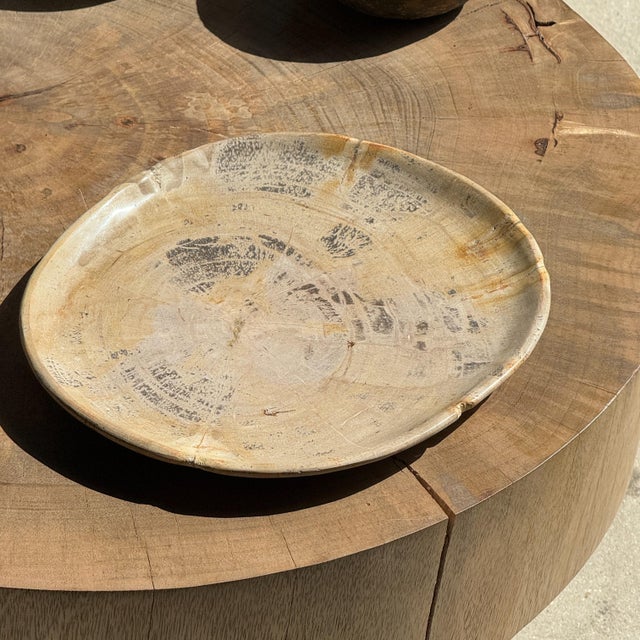 Wood Oval Petrified Wood Trinket Tray with Grey Rings, 1980s For Sale - Image 7 of 9
