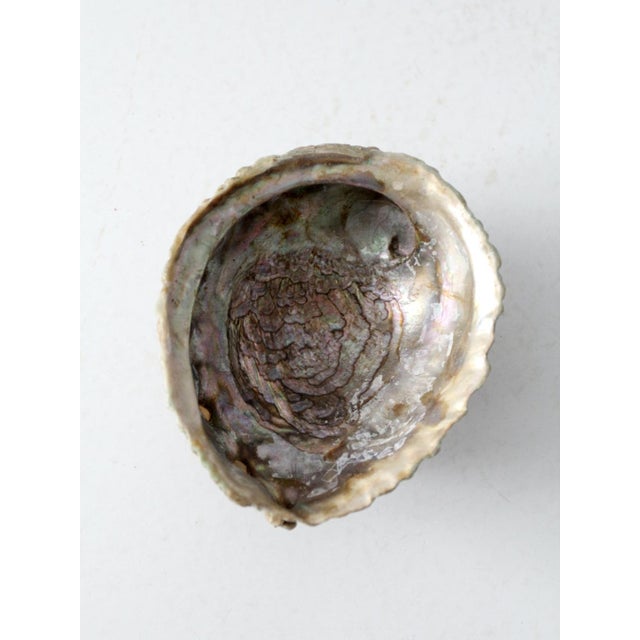 Shell Mid Century Abalone Shell Footed Bowl For Sale - Image 7 of 10