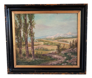 Countryside Nature, 1960s, Oil Painting on Canvas, Framed