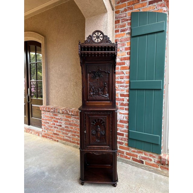 Antique French Breton Hall Cabinet Tall Narrow Carved Crown Bookcase c1880. Direct from France, a striking antique Breton...