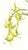 Limited edition reproduction print of one of the most famous botanical works ever produced, "The Orchidaceae of Mexico and...