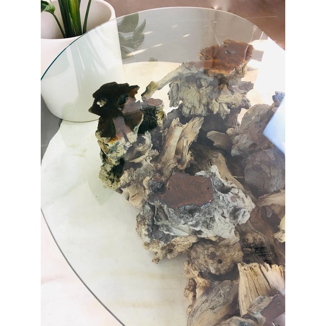 Vintage 1970s Burlwood Driftwood Sculptural Glass Top Coffee Table For Sale - Image 10 of 11