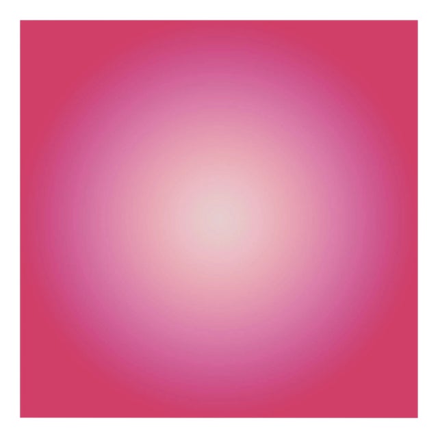 Paul Snell "Hover # 201913", Photograph For Sale