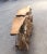 Contemporary Solid Natural Teak Console Table — Grounded Anchor, Accent Piece For Sale - Image 3 of 5