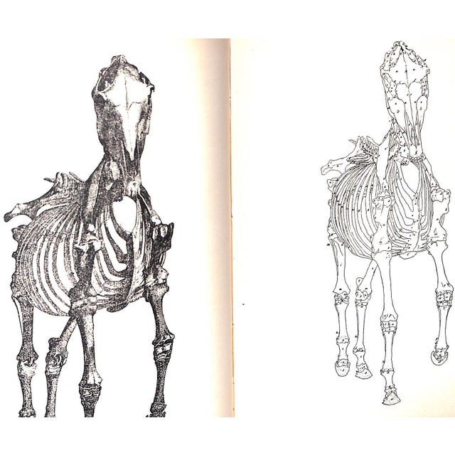 "Life of George Stubbs r.a" 1898 Gilbey, Sir Walter [Bart.] For Sale - Image 4 of 12