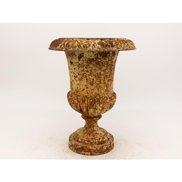 Single Rusty Cast Iron Urn, French Early 20th Century For Sale - Image 10 of 10