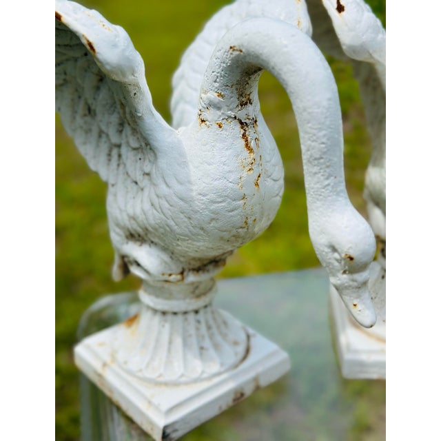 1950s Vintage Cast Iron Swan Garden Ornaments, a Pair For Sale - Image 5 of 11