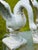1950s Vintage Cast Iron Swan Garden Ornaments, a Pair For Sale - Image 5 of 11