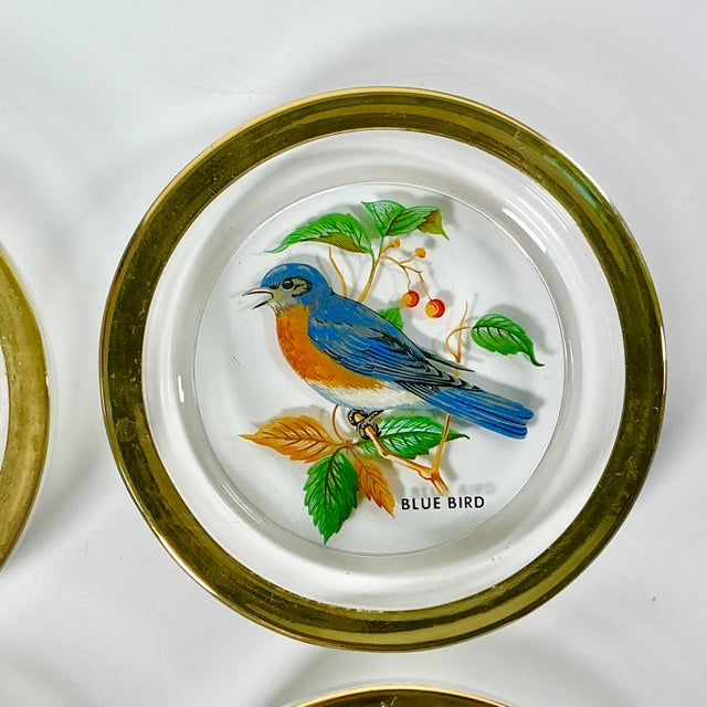 1980s Vintage Chippendale Hollywood Regency Crystal Coasters With Birds - Set of 4 For Sale - Image 6 of 11