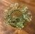 This is a vintage Fenton Art Glass rose bowl, distinguishable by its classic “Hobnail” pattern and the characteristic...