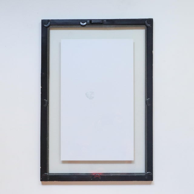 Pair of Framed Swiss Herbarium Fern Facsimile Prints, 1948 & 1953 Specimens For Sale - Image 4 of 8