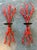 Vintage Coral Branch Wall Candle Sconces- A Pair For Sale - Image 9 of 12