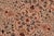 Shabby Chic 1990's Pak-Persian Tan/Green Wool Rug - 8'3'' X 10'3'' For Sale - Image 4 of 9