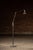 Industrial Vintage Industrial Dazor Articulated Floor Lamp For Sale - Image 3 of 12