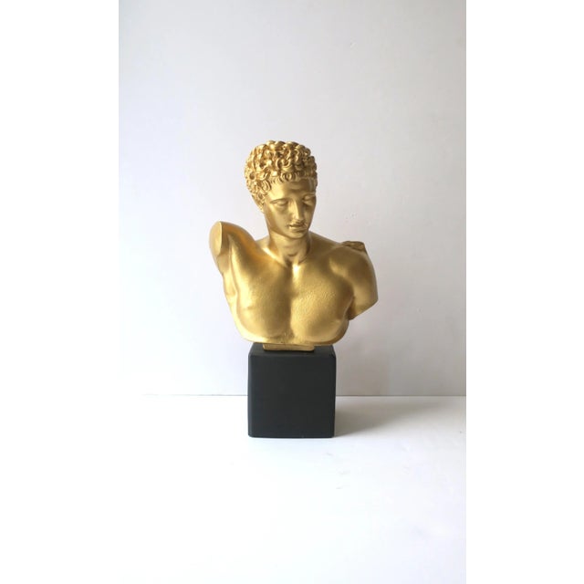 A plaster reproduction bust of ancient Greek sculpture, Hermes. Piece is plaster with a gold overlay on bust and a matte...