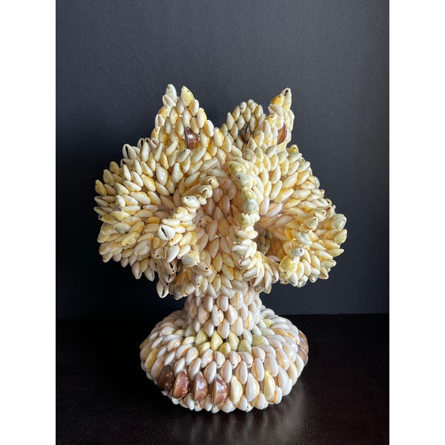 Vintage South Pacific Cowrie Shell Vase For Sale - Image 11 of 12