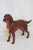 Mid-Century Modern Vintage Goebel Ch622 Irish Setter Hand Painted Porcelain Dog Figurine 4699b For Sale - Image 3 of 18