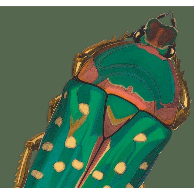 The series was produced by CFA editions from original pochior prints by E.A. Seguy. The series of insects that Seguy...