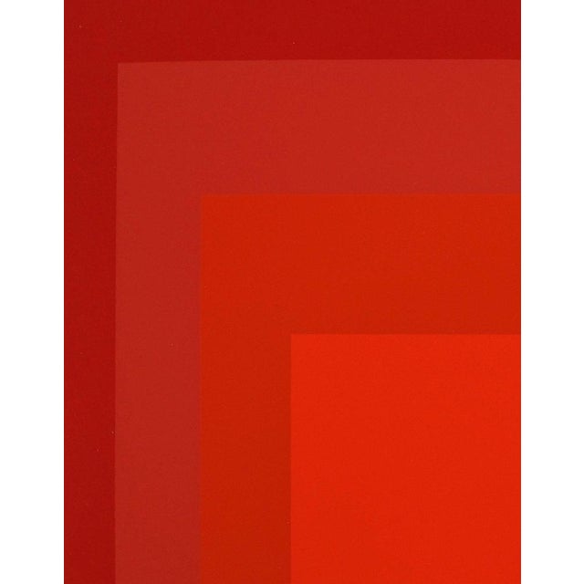 Josef Albers, Homage to the Square, R III a 4, Screen Print For Sale - Image 4 of 6