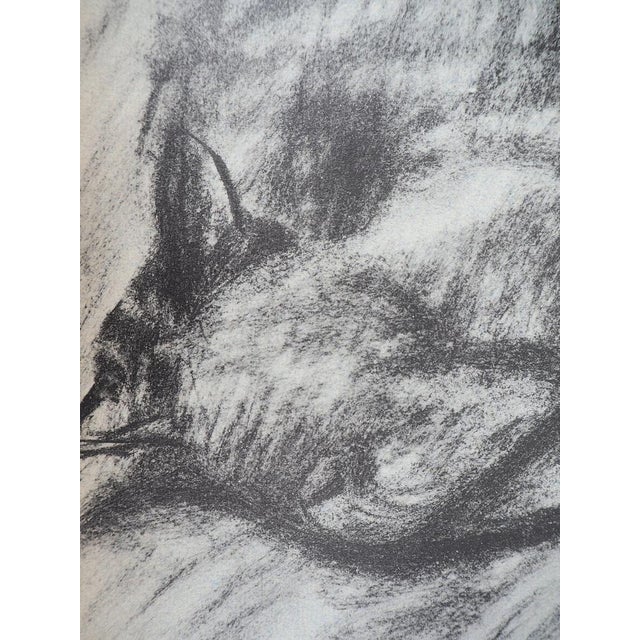 Théophile Alexandre STEINLEN The sleeping cat, 1933 Lithograph on vellum On thin Arches vellum paper 23 x 20 cm Mint...