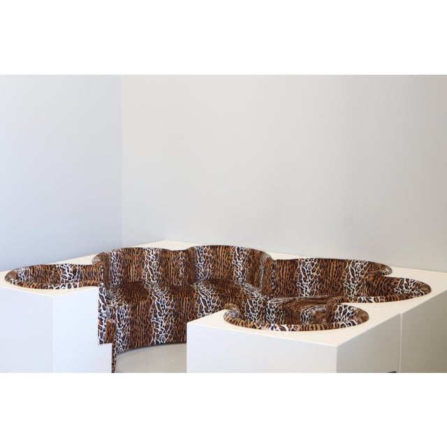 Safari Lounge Sofa by Archizoom Associates, 1968 For Sale - Image 6 of 18