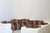 Safari Lounge Sofa by Archizoom Associates, 1968 For Sale - Image 6 of 18