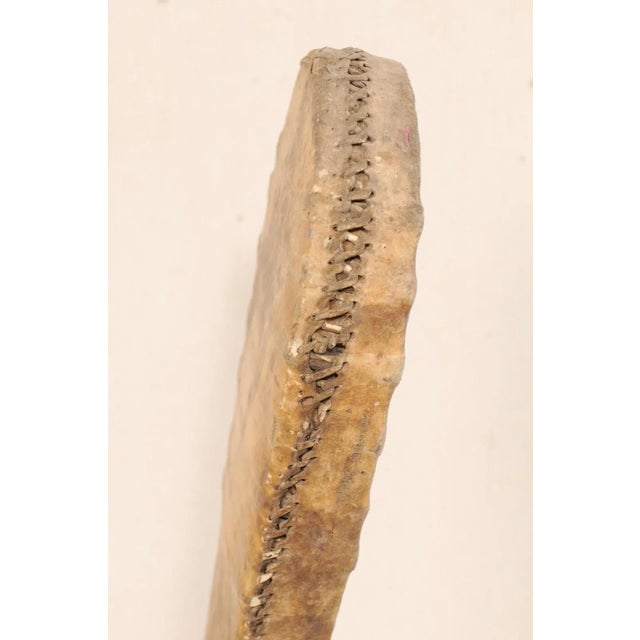 Beige Mid 20th Century Hide & Wood Game Paddle For Sale - Image 8 of 11