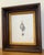 Antique Shell Engraving in Deep Inset Frame For Sale - Image 9 of 11