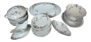 Dinner Plates from Limoges, 1900, Set of 27