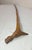 Antique 19th Century Hand Carved Folk Art Dragon Walking Stick Cane Sculpture For Sale - Image 15 of 16