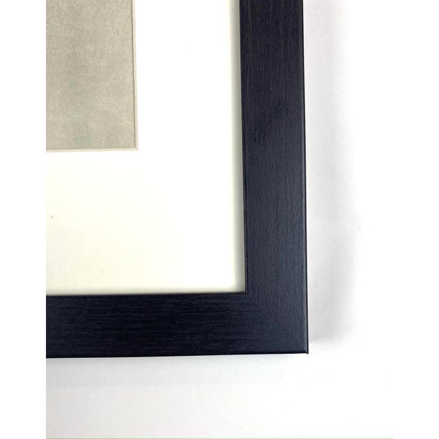 Photorealism Framed Vintage Botanical Blossfeldt Print - No. 2 For Sale - Image 3 of 5