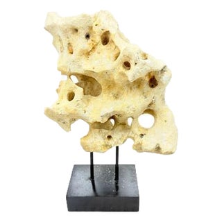 Indonesian Coral Stone On Teak Stand For Sale