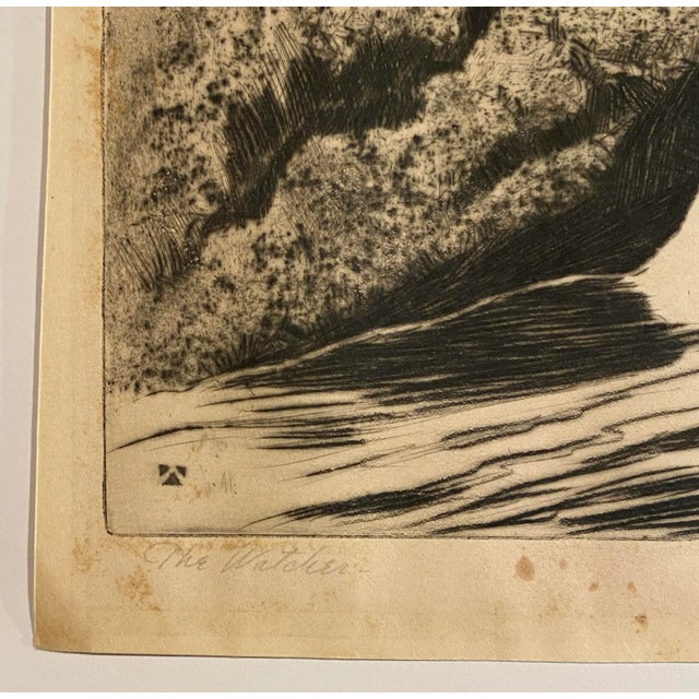 Traditional 1920s Rodney Thomson Puma Wildlife Etching For Sale - Image 3 of 5