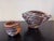 Auburn 2020s Sake Set by Kodai Ujiie For Sale - Image 8 of 8