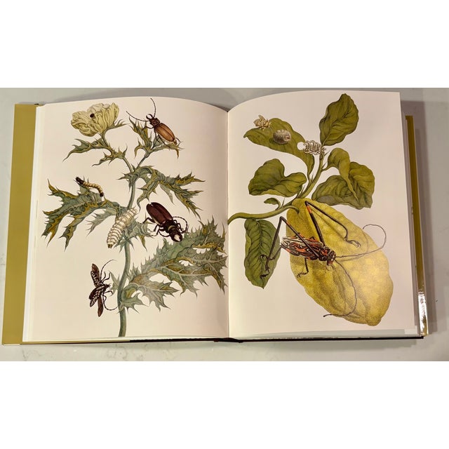 Orange Botanicals: Butterflies and Insects by Assouline, First Edition For Sale - Image 8 of 12