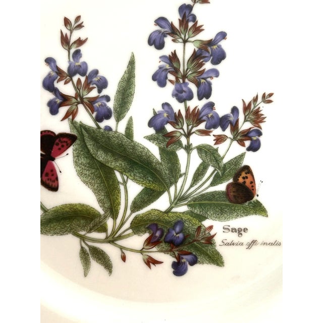 1990 Royal Worcester Herbs ( Sage) SaladsPlates Set of 5 They are in very good condition. 8.25"D