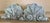 Antique 18th Century French Rococo Carved Wood Sea Shell Form Architectural Cornice Elements - A Pair For Sale - Image 14 of 14