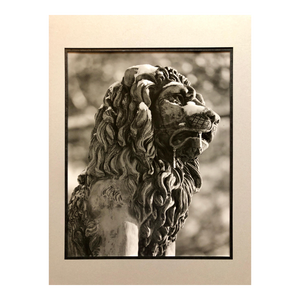 Theodore Cohen, Stone Lion Sculpture Photograph, Jerusalem Vintage Silver Gelatin Photo Print, c.1960's