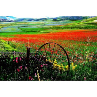 Giuseppe Marani, Landscape Composition, Photograph on Canvas For Sale