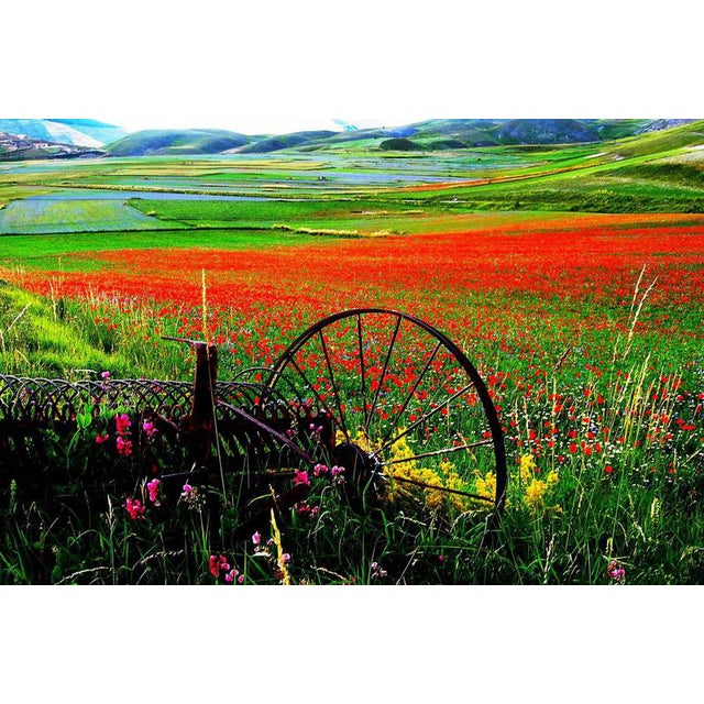 Giuseppe Marani, Landscape Composition, Photograph on Canvas For Sale