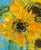 Title: Sunflowers in Blue I paint sunflowers because they are endlessly beautiful and endlessly different. Each one has...