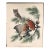 1964 Audubon Folio Lithograph Great Bird Paintings – “Little Screech Owl” 17x14 For Sale
