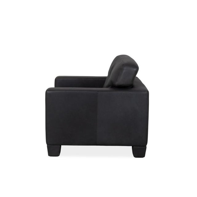 De Sede Ds 17 / Wk 612 Leather Armchair Black For Sale - Image 10 of 11