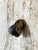 Travertine Planters, 1970s, Set of 2 For Sale - Image 17 of 18