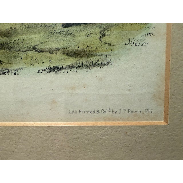 Printmaking Materials Original Audubon Hand-Colored Lithograph, "Musk Ox" Plate Cxi, j.t. Bowen c.1850 For Sale - Image 7 of 10