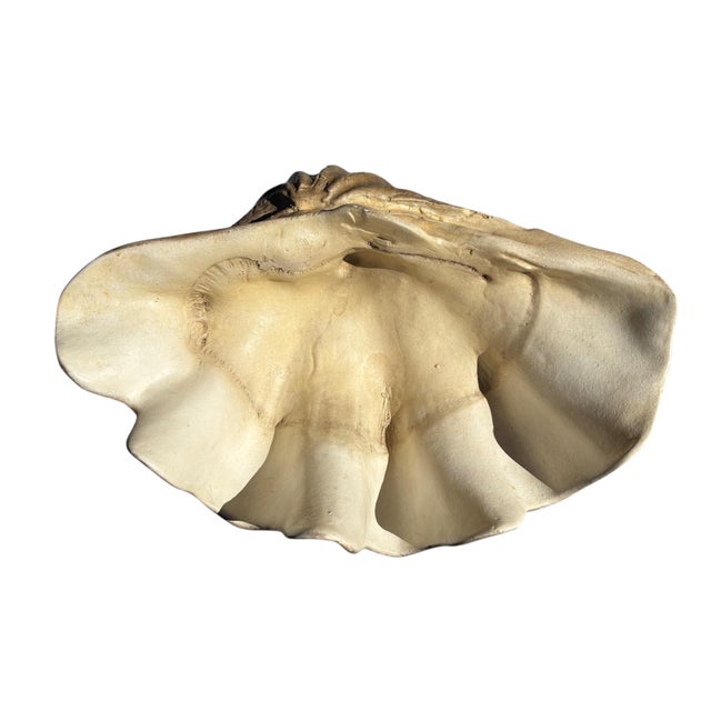 Ivory Large Faux Giant Clam Shell Centerpiece Bowl For Sale - Image 8 of 16