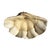 Ivory Large Faux Giant Clam Shell Centerpiece Bowl For Sale - Image 8 of 16