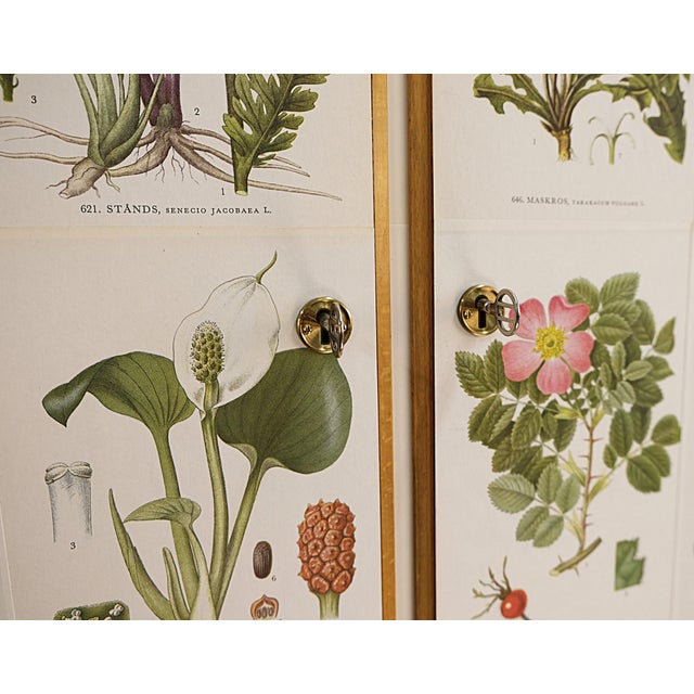Beautiful vintage cabinet by Lamhults Möbler covered with illustrations from Nordens Flora by C.A.M Lindman. The same...