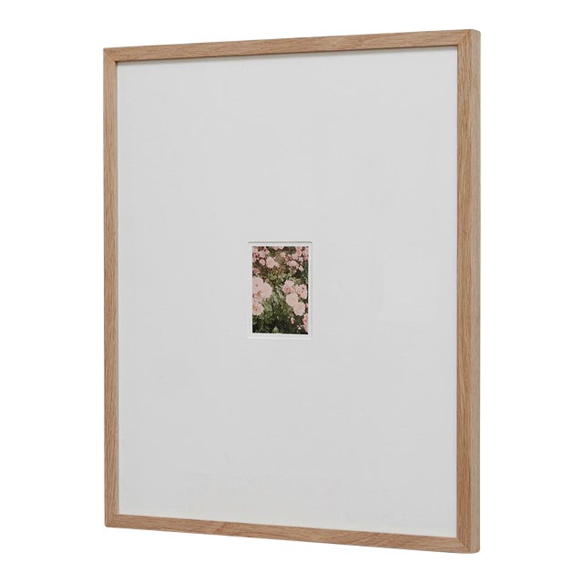 The Rose Garden Nº 33 Print by David Urbano, 2018 For Sale