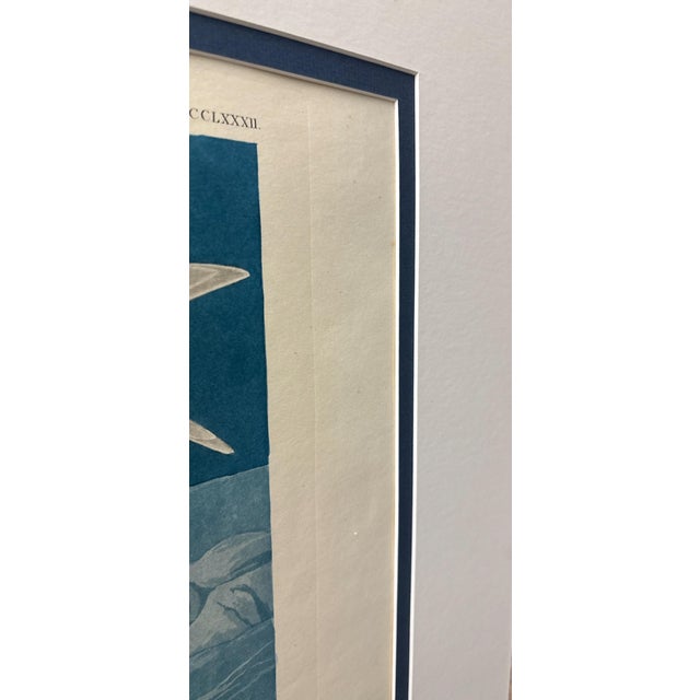 John James Audubon White-Winged Silvery Gull – 1835 Havell Elephant Folio Plate For Sale - Image 9 of 10